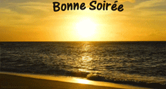 Gif bonne soirée fleurs couché de soleil